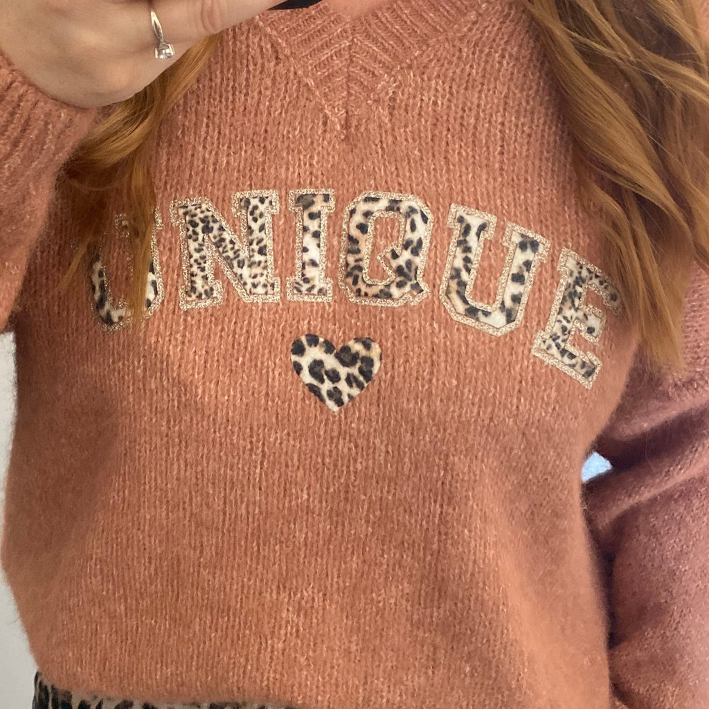 Pull Broderie Léopard