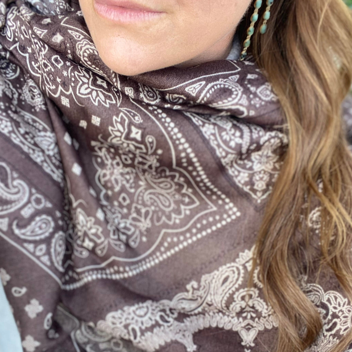 Foulard Paisley Marron C